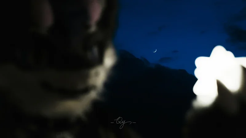 夜空、月牙和爪中的光